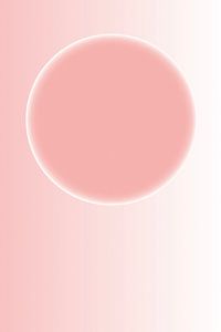 Le rose c'est