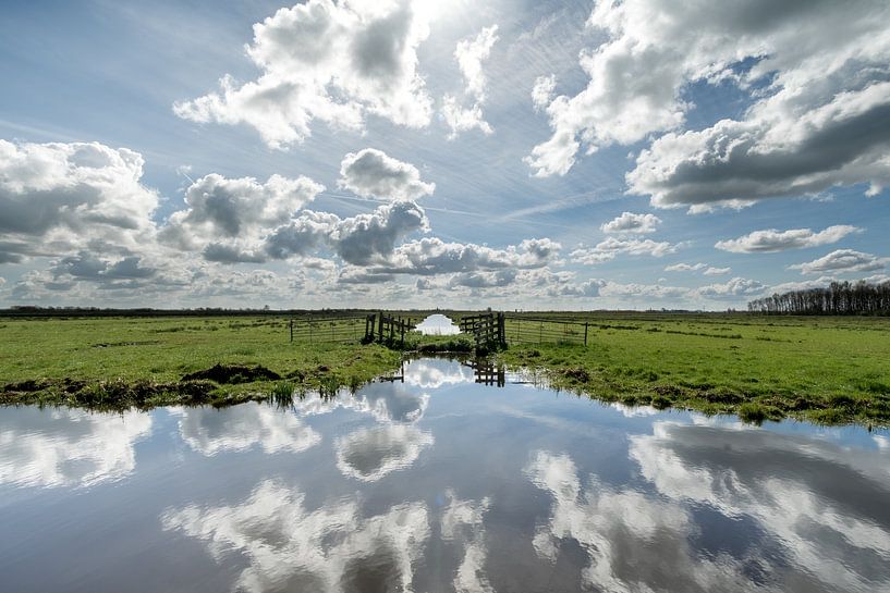 Hekje in reflectie van Hans Goudriaan