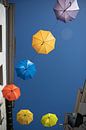 Parapluis Deventer. Kleurrijk. van Frank Slaghuis thumbnail