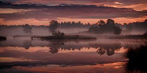 Sonnenaufgang mit Reflexion über den fens Hatertse Vennen von Michel Seelen