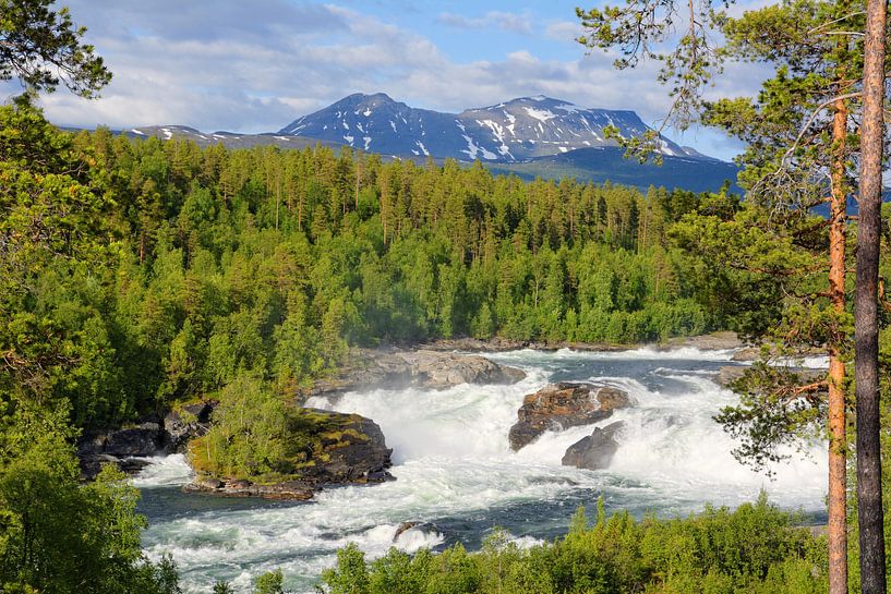 Målselvfossen van Gisela Scheffbuch