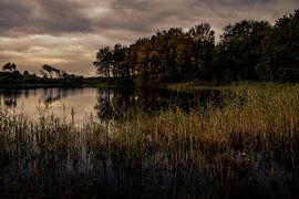 Meijendel by Michel Mees