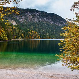 eibsee Garmisch-Partenkirchen by Tim Lee Williams