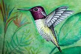 Hummingbird by Gabriela Brakenhoff