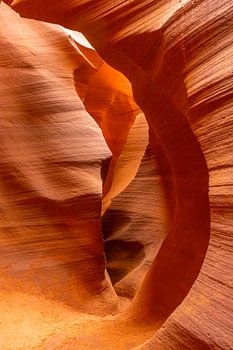 art is nature, nature is art