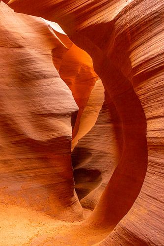 art is nature, nature is art