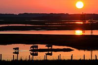 Zonsondergang bij de inlaag aan de Oosterschelde