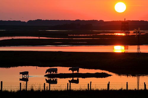 Zonsondergang bij de inlaag aan de Oosterschelde
