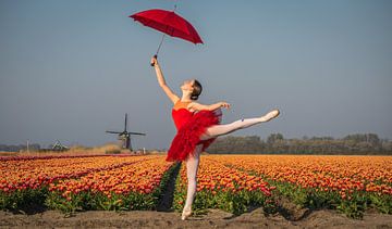Ballerina 2 by peterheinspictures