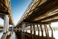 De Royal Welch Bridge spoorbruggen over de rivier de Dieze in s'-Hertogenbosch, Nederland van Marcel Bakker thumbnail