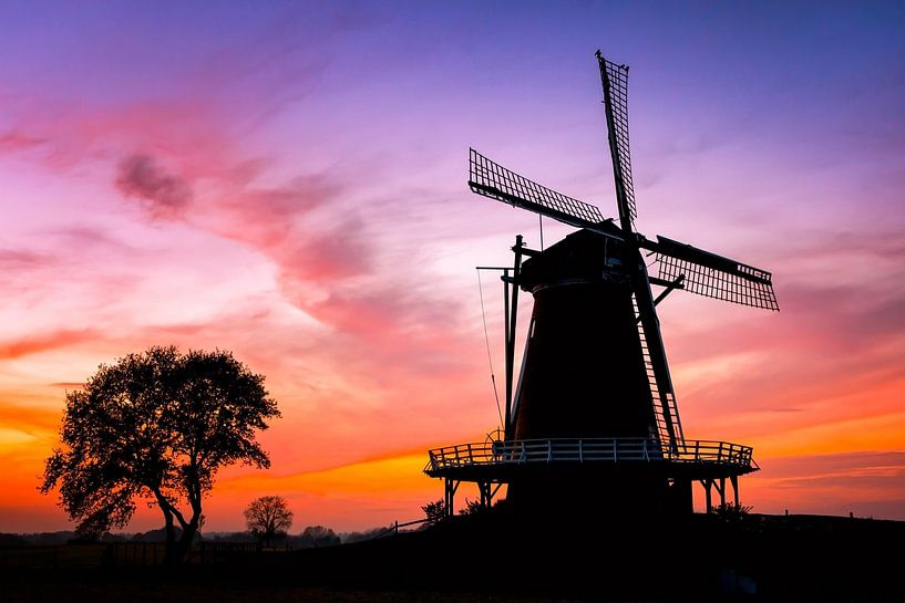Mühle im Polder von Martijn Schruijer
