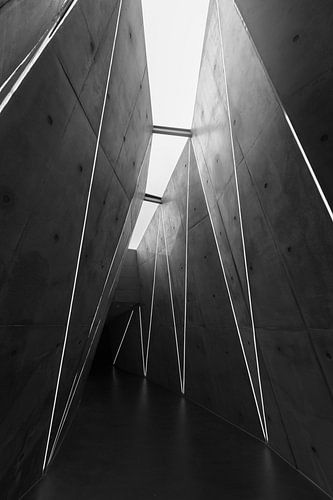 The light by Nina Rotim