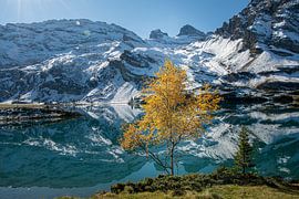 Spiegelung im Wasser 2 von Patrick Nijland