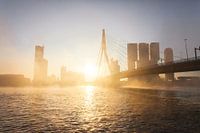 Foggy morning in Rotterdam