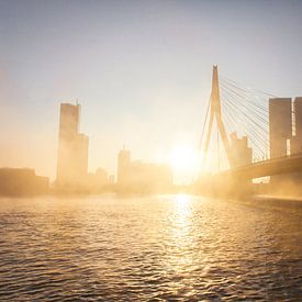Nebliger Morgen in Rotterdam von Gijs Koole