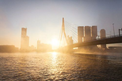 Mistige morgen in Rotterdam