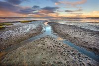 Waddenzee bij Westhoek tijdens eb