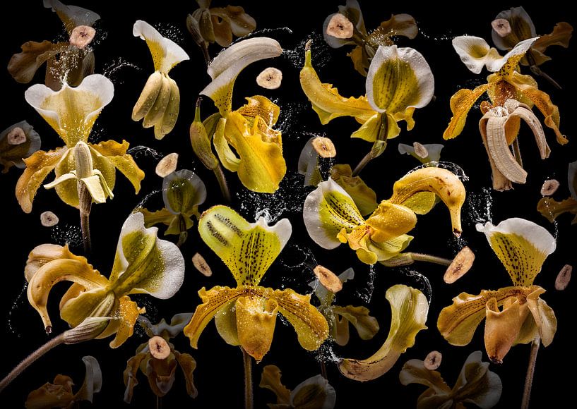Banana orchidea par Olaf Bruhn