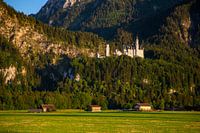 Neuschwanstein Castle in the evening light in Schwangau / Bavaria / Germany