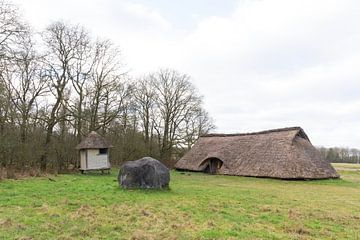 IJzertijdboerderij bij Orvelte van Merijn Loch