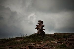 Cairn Männchen