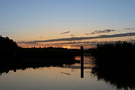 Le rétroéclairage rend l'obscurité sur Jos van den Elshout