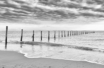 Pfähle im Wasser, Strand der Maasvlakte in Schwarz-Weiß von Marjolein van Middelkoop