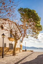 Uferpromenade in Port de Pollenca, Mallorca von Christian Müringer