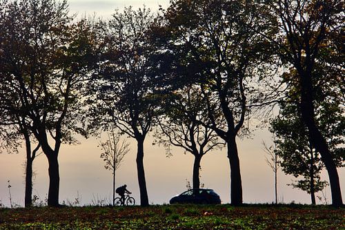 Rencontre entre un cycliste et une voiture