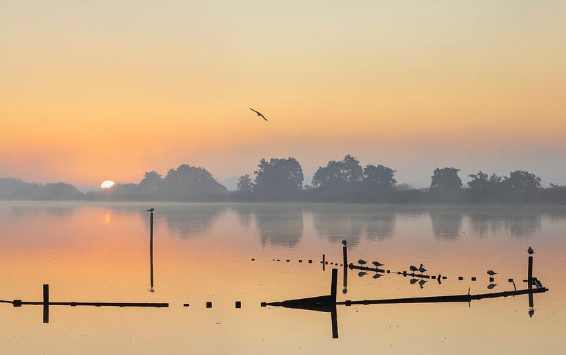 sunrise, sunrise, windless, mist, lake by Karin Broekhuijsen