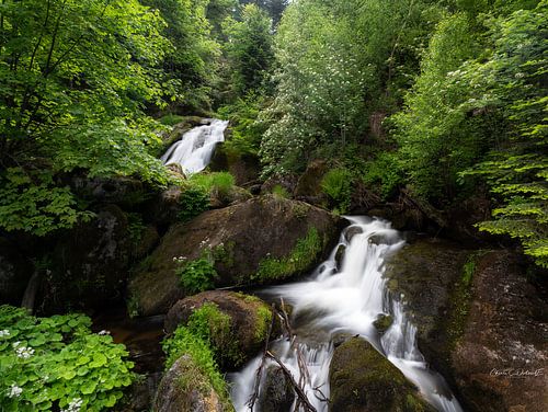 At the Trieberg waterfall