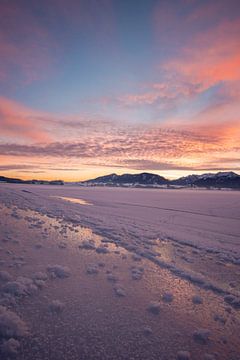 Sonnenaufgang über dem gefrorenen Forggensee und den Ostallgäuer/Ammergauer Alpen von Leo Schindzielorz