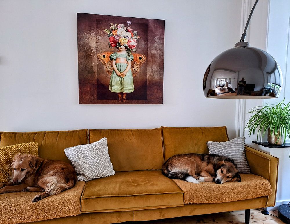 Whispers of the Past  van Marja van den Hurk 