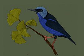 Violetter Zuckervogel und Gingko-Blatt von Kirtah Designs