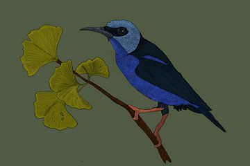 Purple sugar bird and Gingko leaf by Kirtah Designs