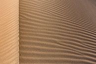 Détail d'une dune de sable dans le Great Salt Desert | Iran par Photolovers reisfotografie Aperçu