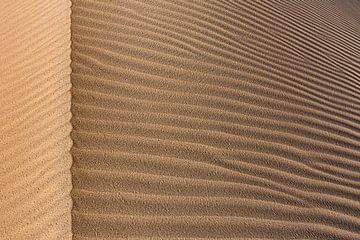 Détail d'une dune de sable dans le Great Salt Desert | Iran