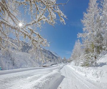 Het zwaar besneeuwde Roseg dal, Pontresina, Oberengadin, Zwitserland van Rene van der Meer