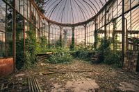 Urbex - Greenhouse 