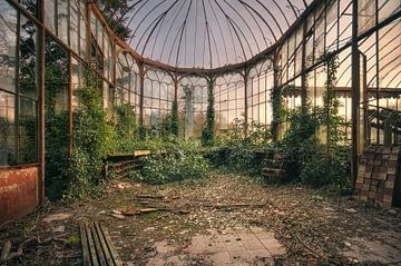 Urbex - verlassenes Gewächshaus (Glashaus) von Angelique Brunas