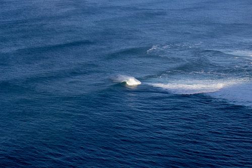 La perfection irlandaise