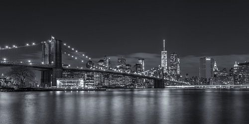 New York Skyline - Brooklyn Bridge (6)