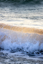 Waves of the Baltic Sea: A breaking wave bathed in golden light by Nils Steiner