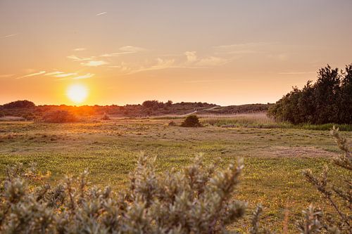 Zonsondergang in de waterwingebied