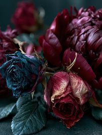 Still Life with Dark Roses and Peonies by Egon Zitter