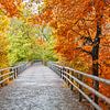Un pont dans la forêt d'automne sur SusaZoom