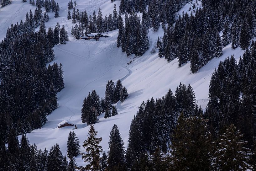 Schneehaus von Thomas Heitz