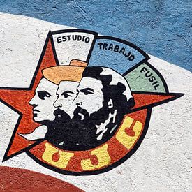 Cubaanse muurschildering van Elles Rijsdijk