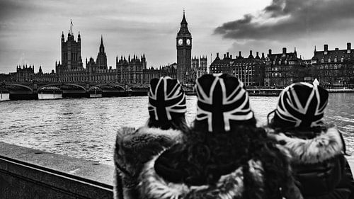 Regarder ensemble sur Rene van Dam