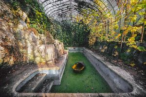 Urbex et la nature